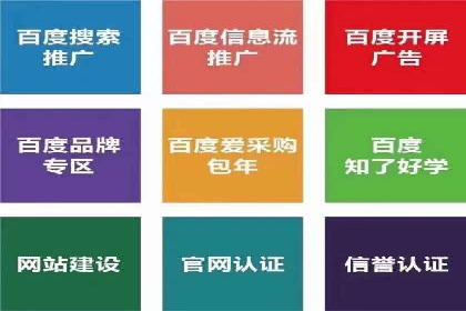 百度推广服务费案例分析：成功背后的秘密